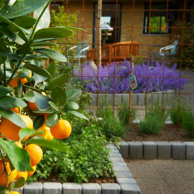 Stemningsfuldt havedesign i Svendborg